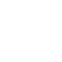 RACER_Ntework_plus_icon_wht
